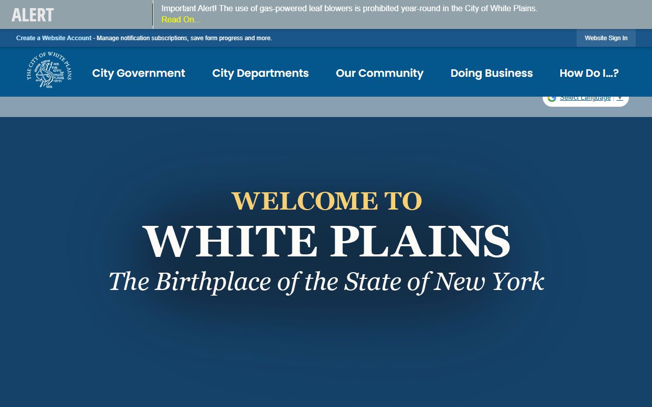 White Plains city website for felony records information